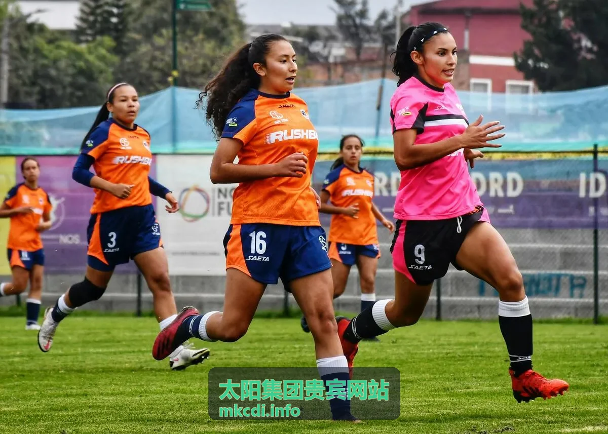 太阳集团贵宾网站 贵宾服务内容图